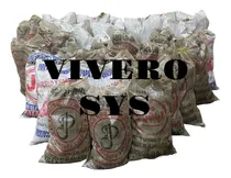Comprar Musgo Tucumano Bolsas Ideal Para Kokedamas O Decoraciones