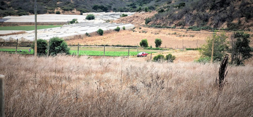 En Venta Parcela De 7.500 M2., En El Huape, Manzanar, Quillo