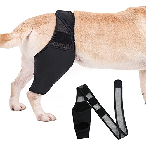 Dog Knee Brace For Support With Cruciate Ligament Injur...