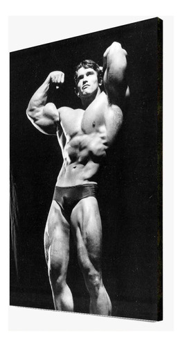 Cuadro De Arnold Schwarzenegger Mr Olympia - Varias Poses