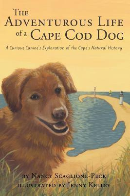 Libro The Adventurous Life Of A Cape Cod Dog - Nancy Scag...