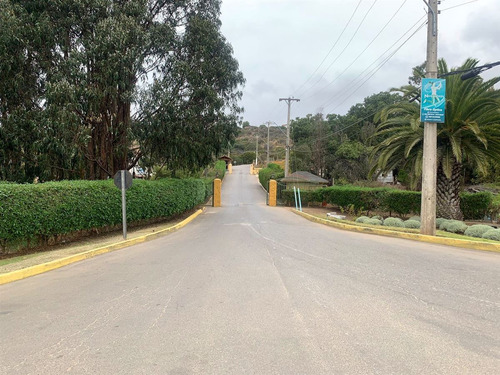 Parcela En Venta En Lomas De Mantagua/quintero