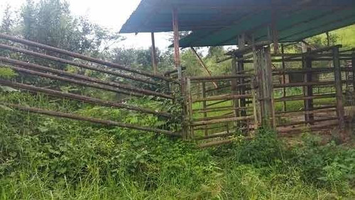 Imagen 5 de 14 de Baja De Precio... En Venta Finca En El Municipio Montalban - Carabobo