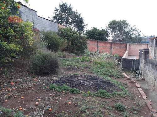 Imagem 9 de 17 de Casa Residencial À Venda, Terra Preta, Mairiporã. - Ca0242