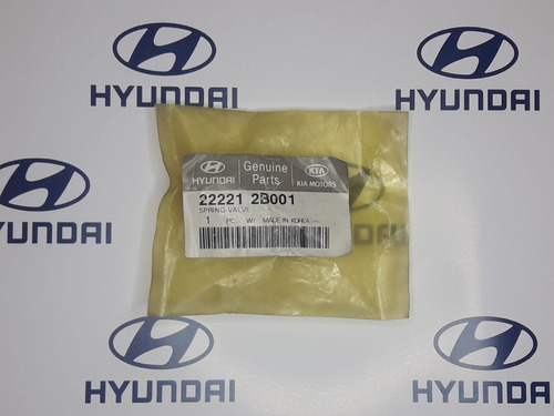 Resorte De Valvula Hyundai/kia, Original. 22221 2b001