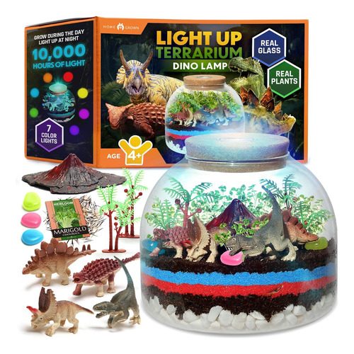 Kit De Terrario Luminoso Niños - Juguete Educativo De ...