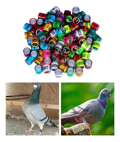 100 Pçs 2024 Anel De Pombo De Alumínio Pomba Anéis De Cor