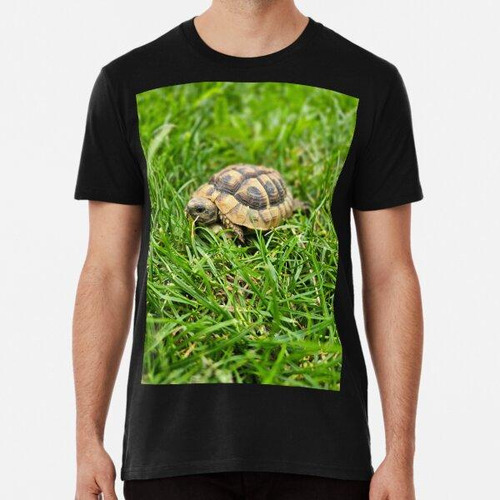 Remera Linda Tortuga Del Bosque Algodon Premium