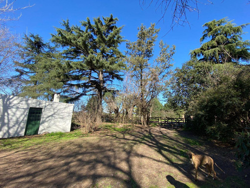 Terreno En Venta - 20.000mts2 - Mechita, Alberti