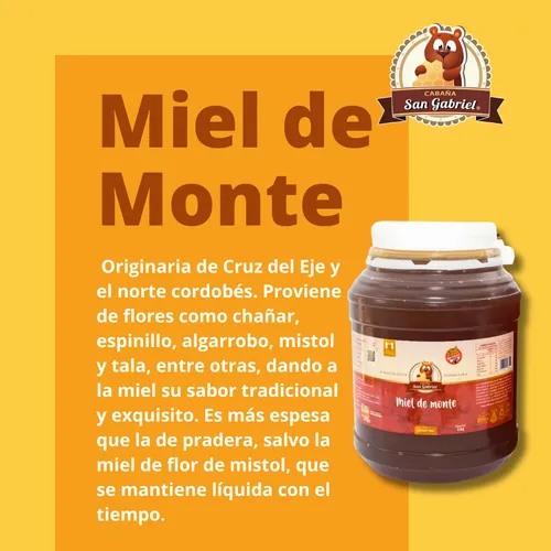Miel De Monte Pura 4kg Sin Gluten | Natural Y Agroecológica