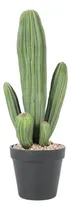 Comprar Cactus Artificiales, Cactus Falsos, 16 Plantas De Cactus En