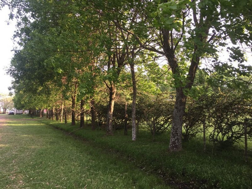 Imagen 4 de 23 de Campo En Venta En Lobos