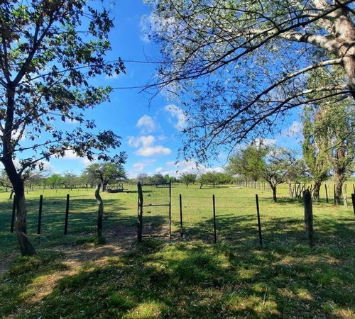 Imagen 29 de 29 de Oportunidad Campo Ganadero En Federal Entre Ríos