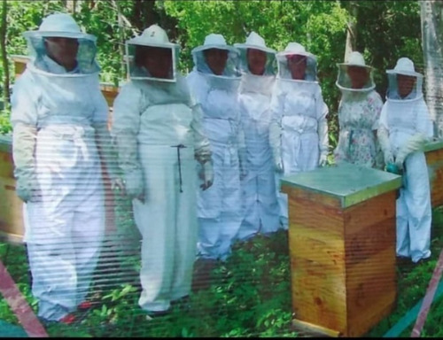 Miel De Abeja 100%, Cubeta 27kgs/20lt, Las Colmenas De Oro