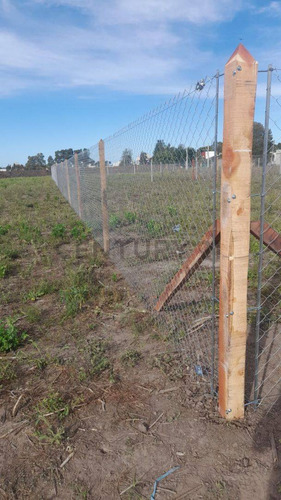 21 Entre 653 Y 654 Venta De Terreno Villa Garibaldi