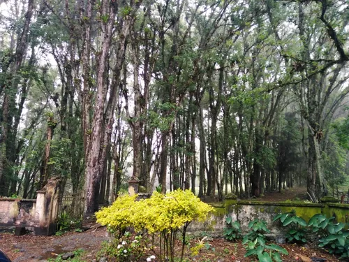 Vendo Espectacular Terreno