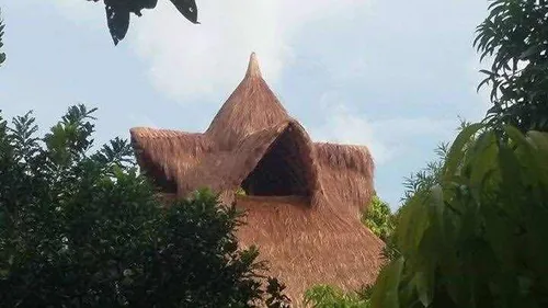 Palma Amarga Kioscos Maloca Fincas Islas Playa Vendi Aguja