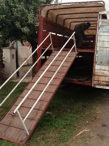 Doble Eje Balancín, Doble Piso, Cerdo,hacien....con Lona