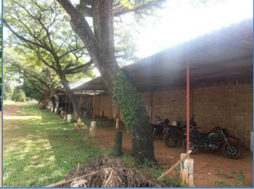 Imagen 29 de 30 de Hato En Mun. El Pao, Cojedes En Venta