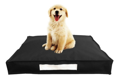 Colchon Cama Perro Antidesgarro Funda Extraible 60x50x10 