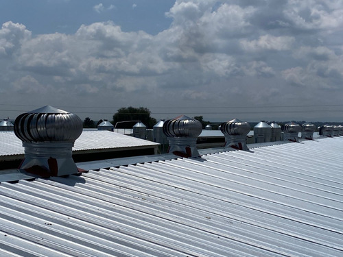 Extractor Atmosférico Tipo Cebolla 18 In En Acero Inoxidable