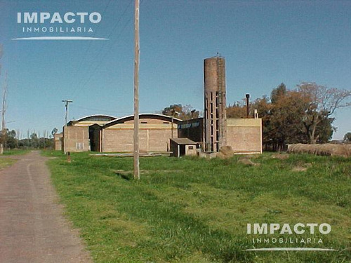 Nave Industrial En Venta - Lobos