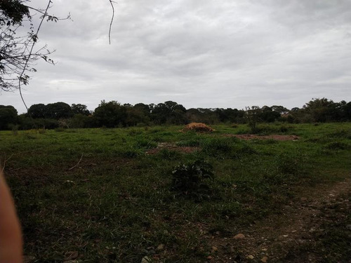 Venta Terreno 6 Has. Santiago De La Peña Tuxpan Veracruz