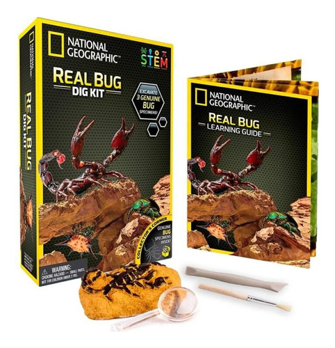 Juego De Ciencia National Geographic Real Bug