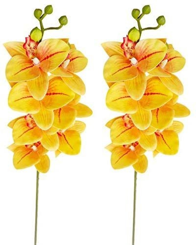 Xilyya 2pcs Real Touch Artificial Phalaenopsis Orquídeas Sp