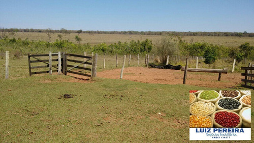 Imagem 3 de 7 de Fazenda À Venda Em Campo Grande - Ms - De 1.065 Hectares (pecuária) - 1658