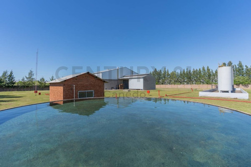 Imagen 9 de 30 de Venta - Galpon - Planta Industrial - Zarate