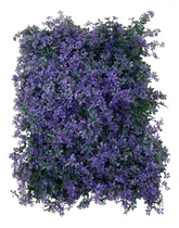 Comprar Jardineria Vertical Artificial Panel Cesped Starway Napoles,muro Verde Artificial Rollo,cesped Artificial,paneles Para Muros Verdes,muro Lloron Exterior