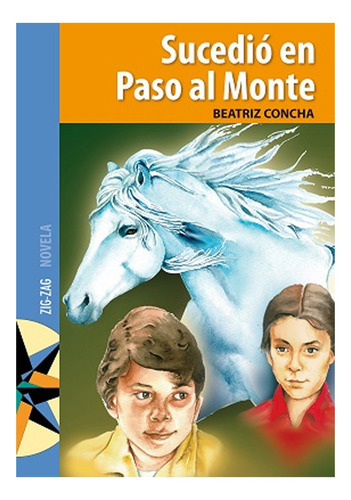 Sucedió En Paso Al Monte: Sucedió En Paso Al Monte, De Beatriz Concha. Editorial Zig Zag, Tapa Blanda En Castellano