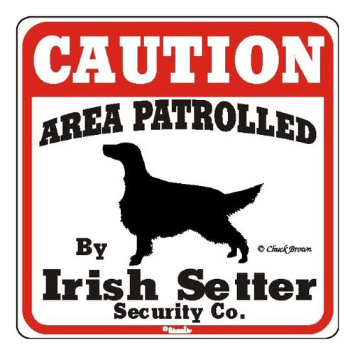 Yard Dog Muestra De La Precaución Área Patrullada Por Irish 