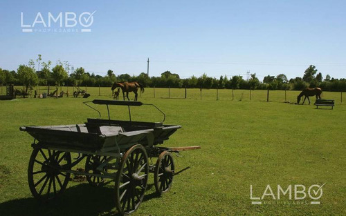 Imagen 2 de 20 de Venta Lote Manzanares La Ranita