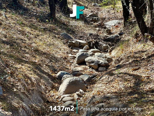 Terreno - Merlo