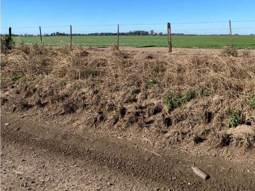 Campo 7.8hs. Rural/industrial En Timbúes Sobre Ingreso A Puertos