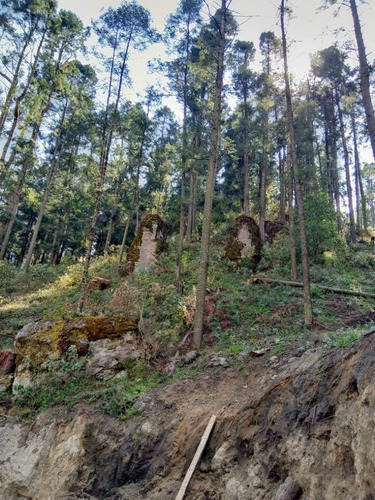 Imagen 2 de 15 de Venta De Terreno En Salazar La Marquesa Estado De Mexico