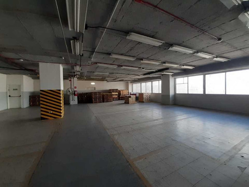 Imagen 3 de 30 de Vendo Oficina 1474m2 Boleita Norte 0175