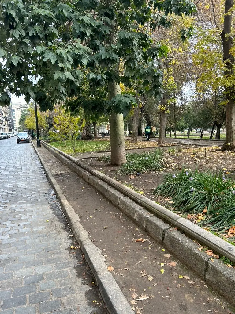 Imagen 4 de 19 de Parque Forestal
