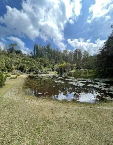 Arriendo Casafinca En La Vía Don Diego - La Ceja