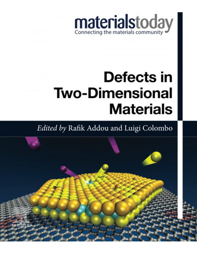 Defects In Two-dimensional Materials