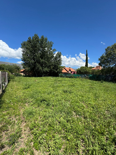 Terreno - Merlo