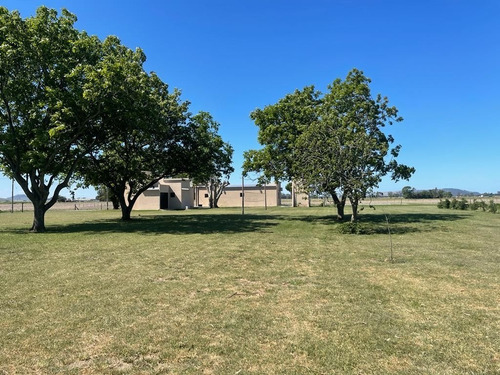 Imagen 2 de 16 de Campo En Venta De 294000m2 Ubicado En Balcarce