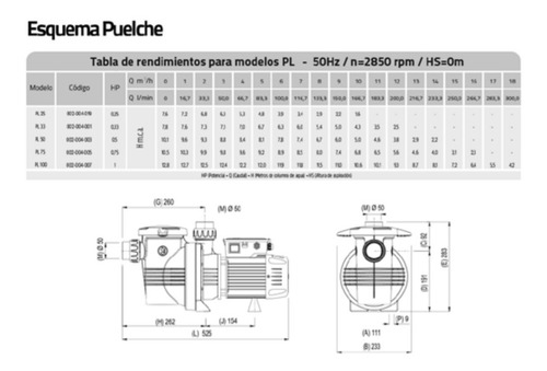 Imagen 4 de 9 de Bomba Puelche 100 1 Hp 1 Año Garantia Service Oficial