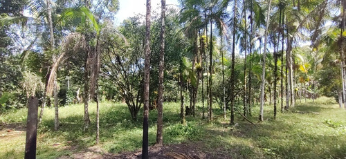 Imagem 17 de 18 de Miracatu /bela Chácara Plana C/riacho/só R$ 90 Mil/oportunidade/ref:05367