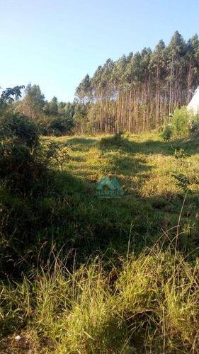 Imagem 5 de 5 de Terreno À Venda, 1000 M² Por R$ 95.000,00 - Vila Velha Ii - Taubaté/sp - Te0111