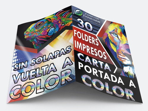 50 Folders Carta Personalizados Frente Y Vuelta Con 1 Solapa