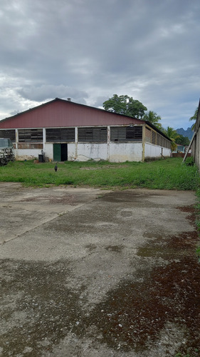 Alquiler De Galpon De 1000m2 Zona Industrial De San Juan De Los Morros