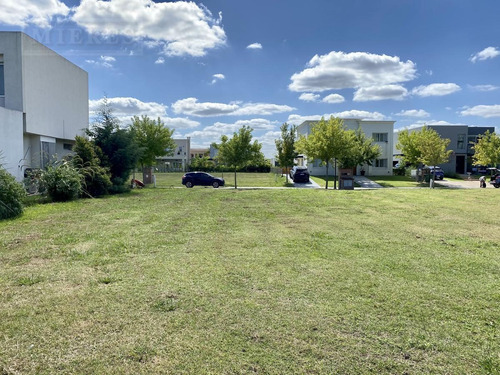 Imagen 8 de 8 de Lote Interno En Venta. Tipas , Nordelta.